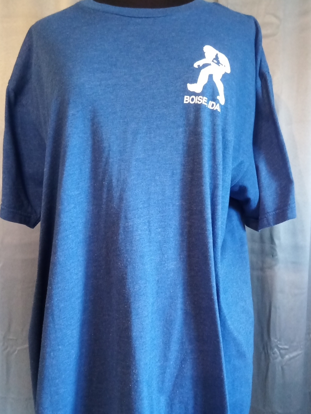 Next Level Apparel Blue Boise, ID Graphic Short Sleeve Tee
